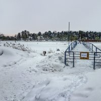 Умный пёс - читать умеет. ("Мост закрыт") :-) :: Михаил "Skipper" Умный пёс - читать умеет. ("Мост закрыт") :-) :: Михаил "Skipper"