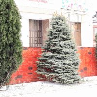 Зима в городе :: Юрий Гайворонскiий