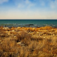 Берег Каспия :: Анатолий Чикчирный