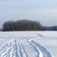 Январь на Смоленщине. :: Милешкин Владимир Алексеевич 