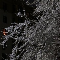 Прощание с зимой... :: Алёна Савина