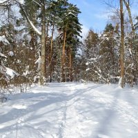 Зима в феврале (репортаж из поездок по области). :: Милешкин Владимир Алексеевич 