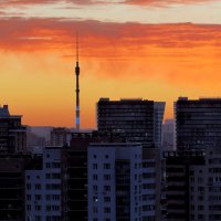 Морозное утро. :: Евгений Седов