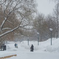 Непогода в Зимнем Парке :: юрий поляков