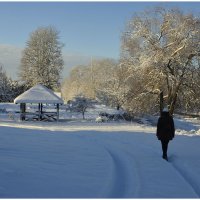 *** :: Aleksandr Gal