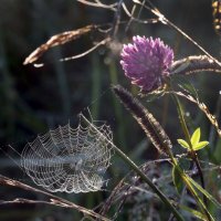 Царицыно 10 сентября :: Михаил Бибичков