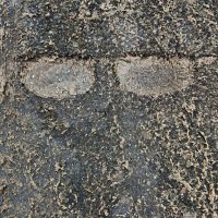 СКОЛЬЗКИЙ ТИП :: Юрий Вовк