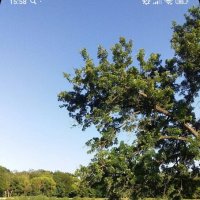 Пруд прогресс биофабрика :: Слава Коломойцев