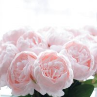 Букет :: Екатерина Василькова