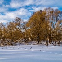 Широкая Масленица, утро 7 :: Андрей Дворников