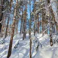 красивая природа :: Владимир 