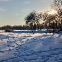 Петергоф. Ольгин пруд. Февраль :: Наталья Герасимова