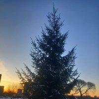 Закат :: Сапсан 