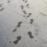 Зима ушла... :: Наталья Герасимова Зима ушла... :: Наталья Герасимова