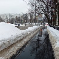 Последний день зимы в Москве (зарисовки неюного натуралиста) :: Андрей Лукьянов