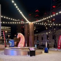 Огненная лошадь :: Veera V