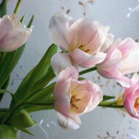 С Первым днем весны! :: Галина Нестратова