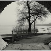 Вышли на весну :: Aleksandr Gal