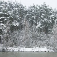 зима снег :: Владимир Зырянов зима снег :: Владимир Зырянов