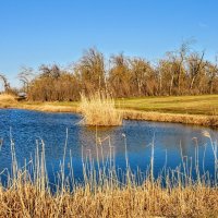 Весенний день. :: Владимир