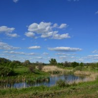 Местная река. :: Виктор 