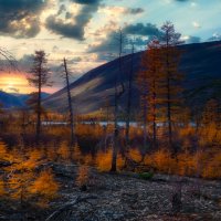 /// :: Константин Есипов