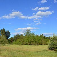 Весна. :: Виктор 