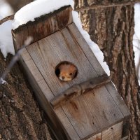 Скучно... :: Вячеслав Алтай