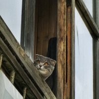 Весна пришла :: Сергей В