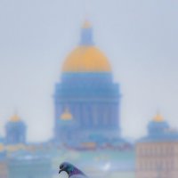 Мартовским днём :: Алексей Чуркин Мартовским днём :: Алексей Чуркин