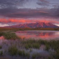 Толбачик :: Sergey38 