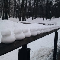 Милые утята в парке. :: Наталья Вязигина