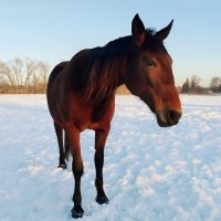 На пррогулке :: Елена Сухорученкова На пррогулке :: Елена Сухорученкова