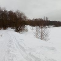 Первый день весны-2026 - продолжение ЧБ-сезона в фотографии :: Андрей Лукьянов