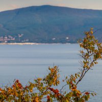 Черноморское побережье :: Владимир Лазарев Черноморское побережье :: Владимир Лазарев