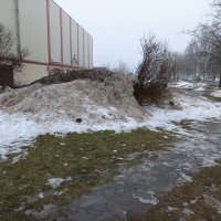 Первый день весны :: Veera V