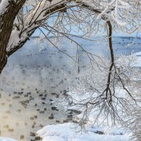 В парке :: Галина Новинская