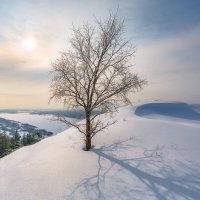 Февральские меридианы :: NikitinAleks 