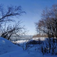 Побережье Балтийского моря :: Рита Симонова