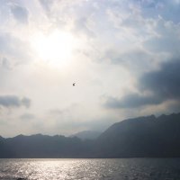 Берега Ормузского пролива :: Галина Ильясова