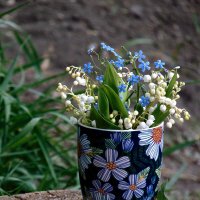 Цветы весны. :: nadyasilyuk Вознюк