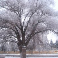 Мой город :: Елена Семигина