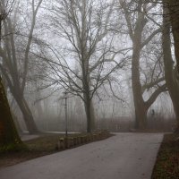 Дорожка в туманное утро :: Юрий. Шмаков