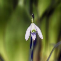 Одиночество :: Андроник Александр 