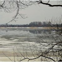 *** :: Aleksandr Gal