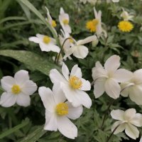 ,,, :: Сергей Тимоновский