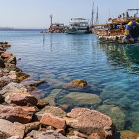 Морские забавы :: Eugene *