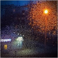 Мандариновое дерево под моим окном :: Александр Лебедев