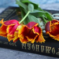 Весна :: Irene Irene