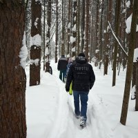 Уходим в лес. :: ВикТор Быстров Уходим в лес. :: ВикТор Быстров